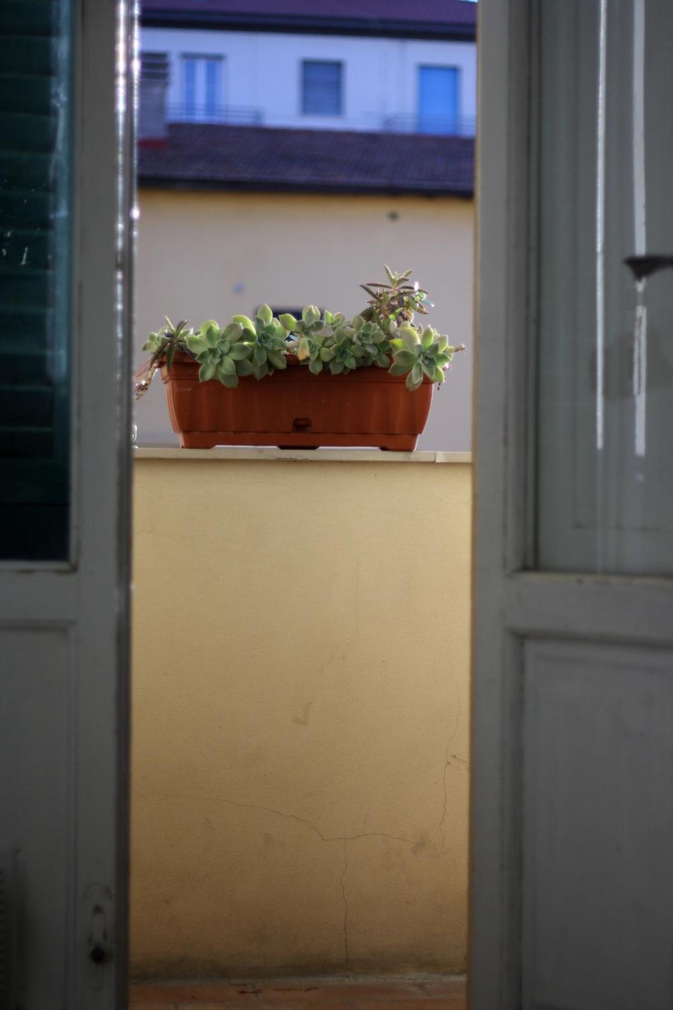 A Due Passi Dal Treno Apartment Pisa Exterior foto